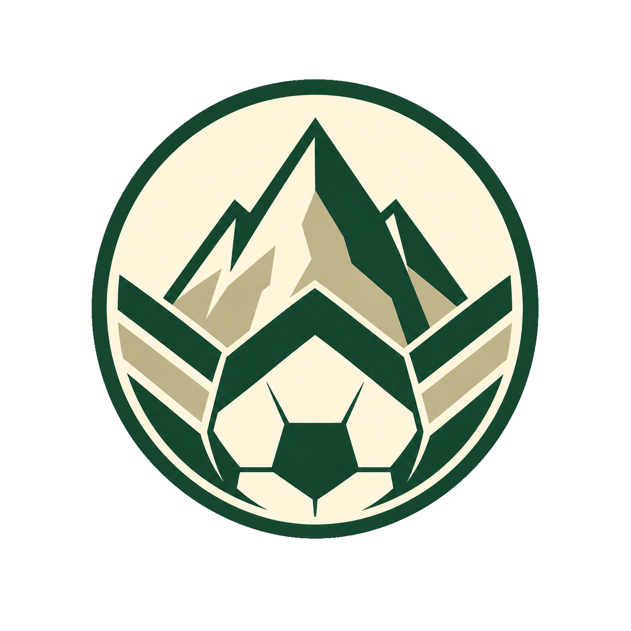 대구 팔공 FC logo